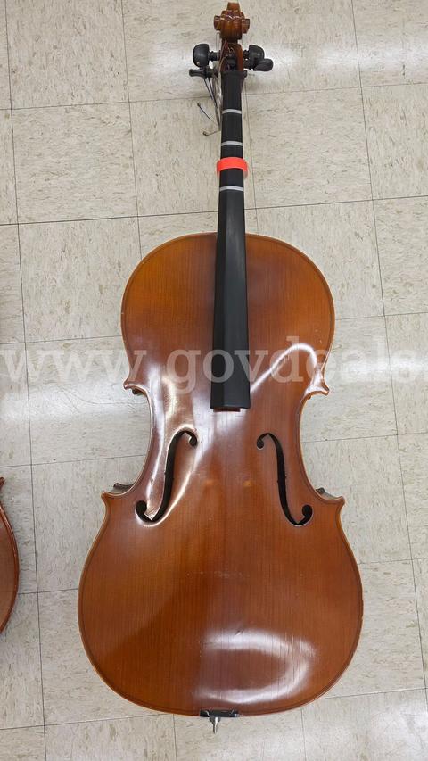 Asset #356: Cellos