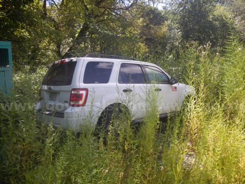 2010 Ford Escape