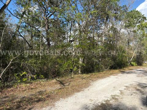 Level Vacant Agricultural Residential Lot in New Port Richey, FL