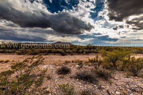 LIQUIDATION SALE! This Labor Day Weekend Only Acquire Up To 4 Adjacent TX Properties To Combine For LARGE ACREAGE!