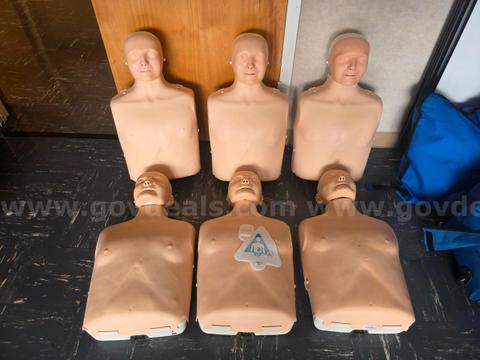 6 Recusci Anne Adult / 6 Recusci Anne Babies