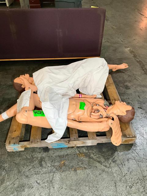 Medical Mannequin (2 pcs)