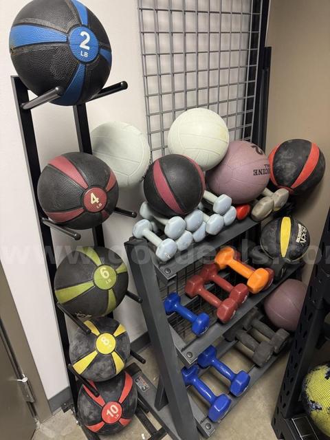 Hand Weights and Rack