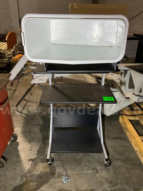 Rolling Shelf & Container (2 pcs)