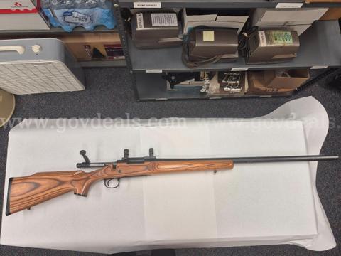 2004 Remington 700 .243