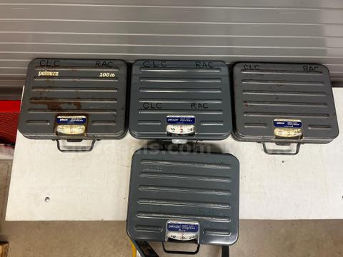 4 - Pelouze Heavy Duty Utility Scale Model P250s