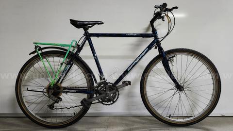 Bicycle: Renegade Sierra