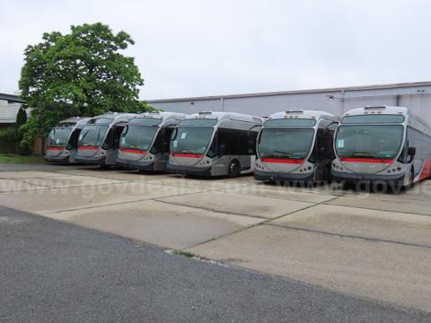6 Scrap Nabi Buses