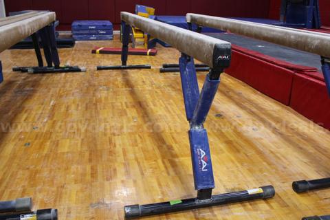 AAI Elite Gymnastics Balance Beam with Adjustable Stand (Lot D)
