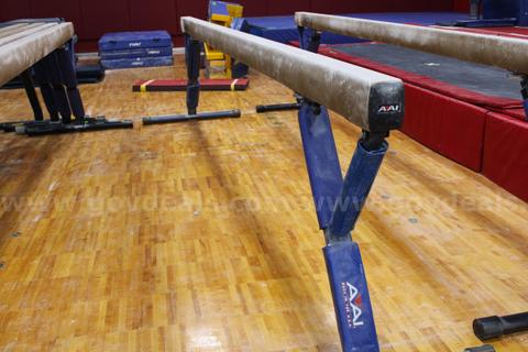 AAI Elite Gymnastics Balance Beam with Adjustable Stand (Lot E)