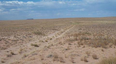 2.5ac residential lot in Navajo County, AZ. No Restrictions! No HOA !!