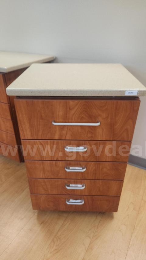 (13) Storage cabinets w/Wheels