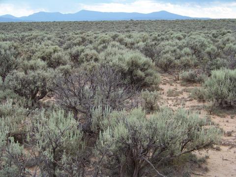 Big 13.84ac Lot in Rio Arriba County NM. Low Price for quick sale!