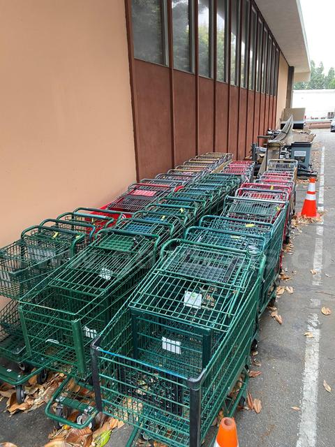 45 Shopping Carts