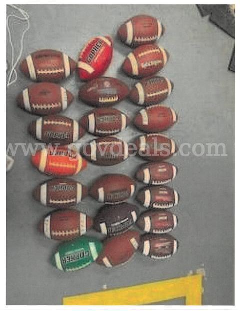 Bulk Footballs – Wilson, Gopher,  + Mesh Bag
