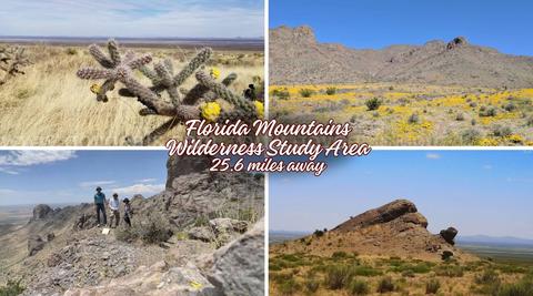 Huge 5ac lot Luna County NM.
