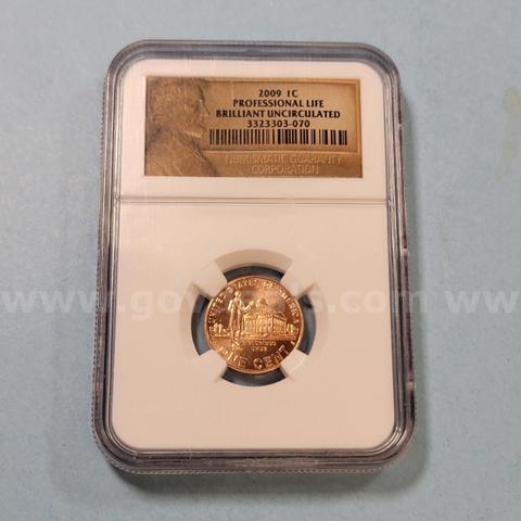 2009 Penny Professional Life