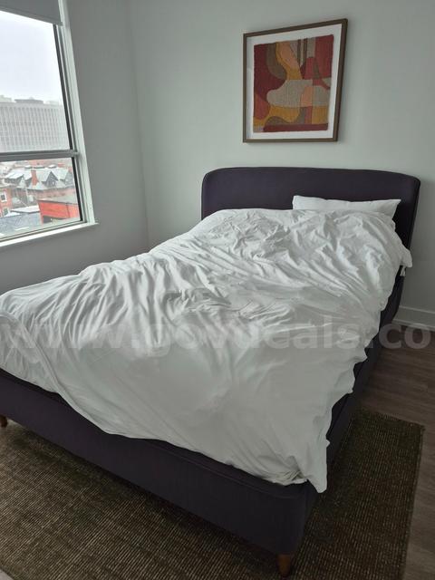 Lot of Queen Bed Frames