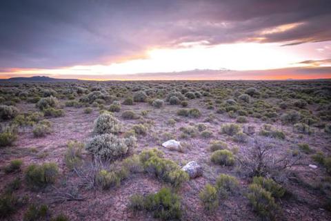 1/4 Acre in Taos, New Mexico