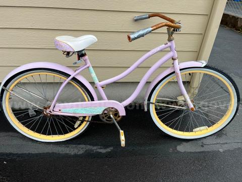 Beach cruiser
