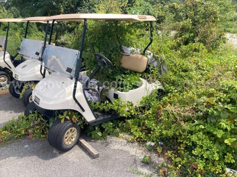 2020 Textron EZ-GO Golf Cart - missing parts