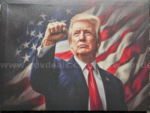 Donald Trump Wall Canvas