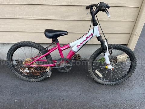 Kids mountain bike