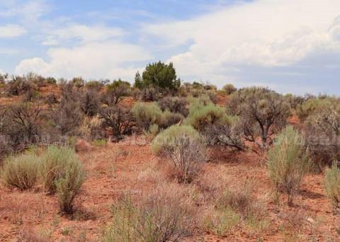 1 Acre San Luis Colorado