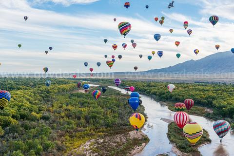 NO RESERVE Half Acre Of Endless Possibilities In New Mexico!