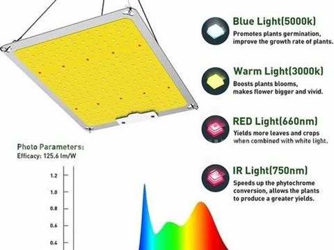 SHIPPING AVAILABLE Lot of 12, 100W Full Spectrum LED Grow Light Quantum Board, IP65 Waterproof Plant Growing Lamp(A1-07)