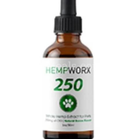 DOG TREATS LIQUID 250 MG BACON FLAVOR / NEW / FACTORY SEALED *WILL SHIP*