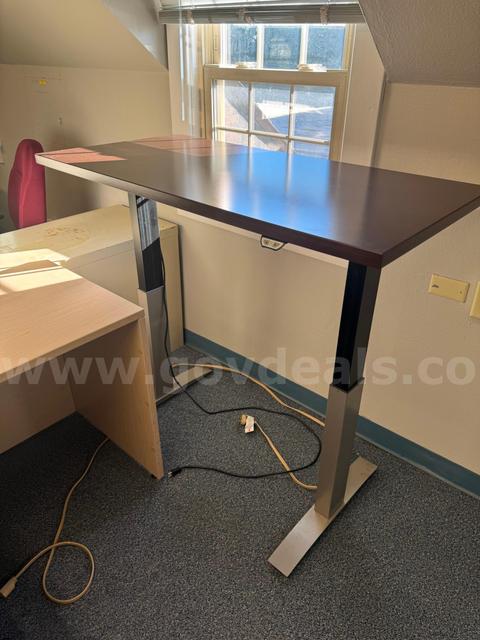 Electric Standing Desk