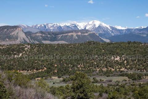 1/4 acre San Luis Colorado