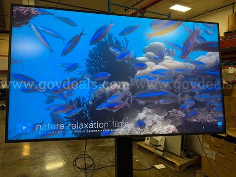 Samsung QM-N Series 75” Digital Signage Monitor with a Chief Adjustable Stand w/ Wheels