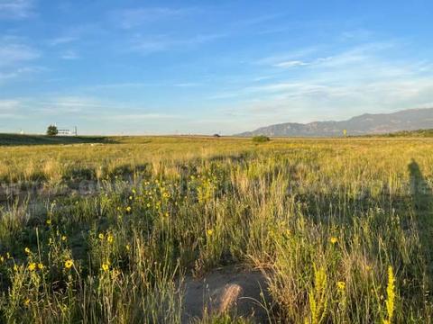 1/3 Acre Colorado City