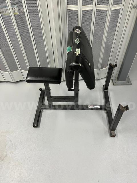 Preacher Curl Bench