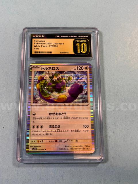 2025 Tornadus Japanese Pokémon Holo