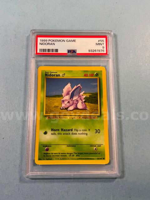 1999 Nidoran Pokémon