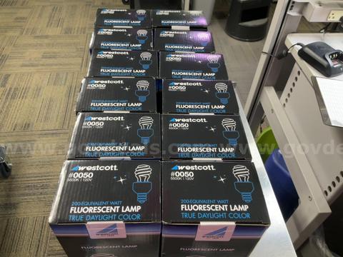 Lot of 12 Westcott #0050 50W Fluorescent Lamp - 200W Equivalent 5500K True Daylight CFL