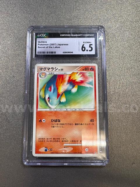 2007 Quilava Japanese Pokémon