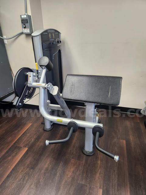 True Force Bicep/Tricep Pin Loaded Combo