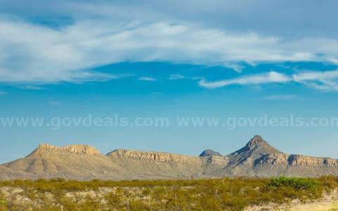 Terrific 20 Acres  Texas