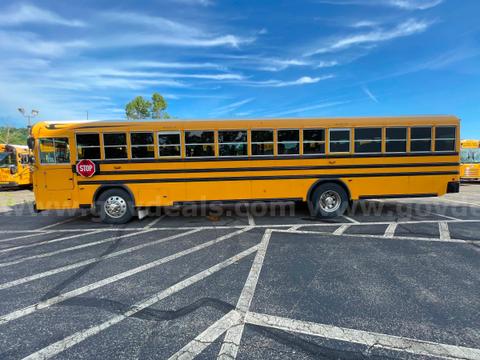2017 Blue Bird School/Transit Bus