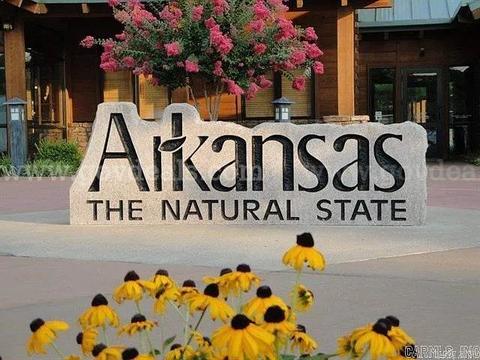 Attention Investors & Outdoor Enthusiasts! 0.29 Acre Lot In Hot Springs Village Arkansas