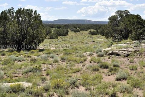 Low Opening Bid, No Reserve Stunning Views 5 Acre Northern AZ Right of Paved hwy 191