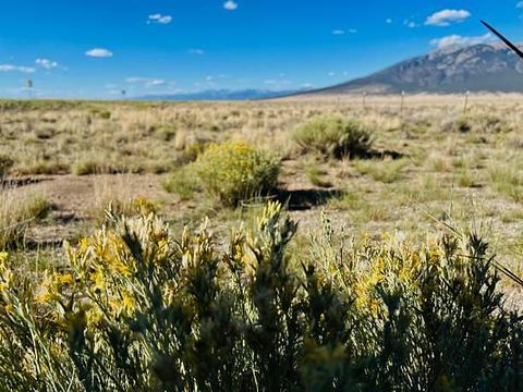 1/3 Acre Colorado City