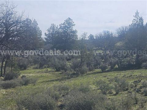 Northern California, Klamath River, Huge 2.95 Treed AC, Cul De Sac Lot on Desavado Rd, Power, View Lot,