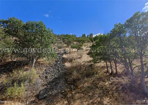 Northern California, Shasta River View Lot, 1.5 Treed AC, 500' of Paved Highway 263 Frontage