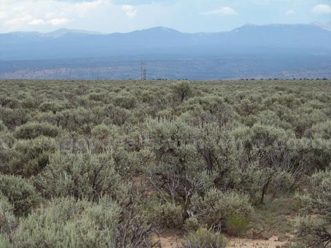 Big 9.24ac Lot in Rio Arriba County NM. Bid and Assume! NO CREDIT CHECK!