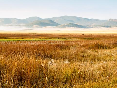 NO RESERVE Colorado Land Liquidation Opportunity With Ability To Acquire Adjacent Lots!